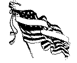 flag